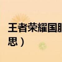 王者荣耀国服什么水平（王者荣耀国服什么意思）