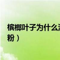 槟榔叶子为什么涂贝壳粉（新鲜槟榔为什么要加叶子和贝壳粉）