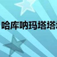 哈库呐玛塔塔塔塔塔i（哈库呐玛塔塔的意思）