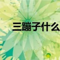 三蹦子什么时候禁止（三蹦子什么意思）