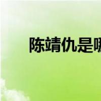 陈靖仇是哪朝后裔（陈靖仇是谁演的）
