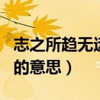志之所趋无远弗届作文（志之所趋无远弗届…的意思）