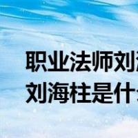 职业法师刘海柱,这个视频是出处（近战法师刘海柱是什么梗）