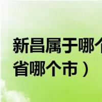 新昌属于哪个省哪个市哪个区（新昌属于哪个省哪个市）