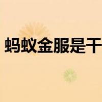 蚂蚁金服是干嘛的呀（蚂蚁金服是干什么的）