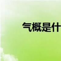 气概是什么意思（气概是什么意思）