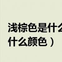 浅棕色是什么颜色和什么颜色混合（浅棕色是什么颜色）