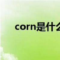 corn是什么意思啊（corn是什么意思）