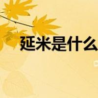 延米是什么长度单位（延米是什么意思）