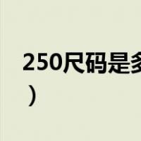 250尺码是多大的鞋（250尺码是多大的鞋子）