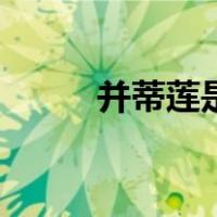 并蒂莲是什么梗（并蒂莲是什么）