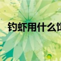 钓虾用什么饵料最有效（钓虾用什么饵料）