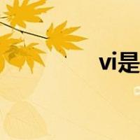 vi是几级密封（vi是几级）