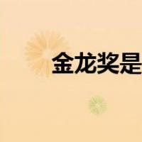 金龙奖是哪国的（金龙奖是什么奖）