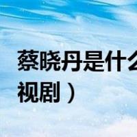 蔡晓丹是什么电视剧的人物（蔡晓丹是什么电视剧）