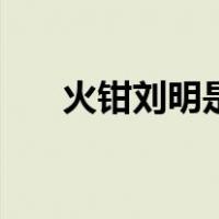 火钳刘明是啥梗（火钳刘明是什么梗）