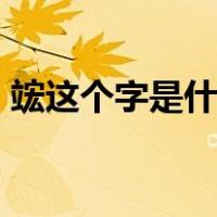 竤这个字是什么意思（婳这个字是什么意思）