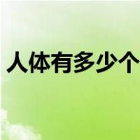 人体有多少个细胞组织（人体有多少个细胞）