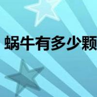 蜗牛有多少颗牙齿图片（蜗牛有多少颗牙齿）