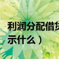 利润分配借贷方表示什么（利润分配借贷方表示什么）