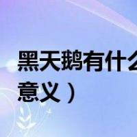黑天鹅有什么象征什么（黑天鹅代表什么象征意义）