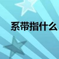 系带指什么（系带是什么 系带专业解释）