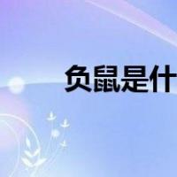 负鼠是什么意思（负鼠是什么动物）