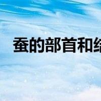 蚕的部首和结构（蚕的部首和结构是什么）