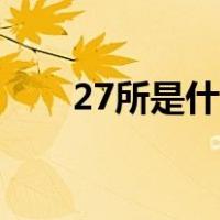 27所是什么单位（28所是什么单位）