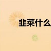 韭菜什么梗（网络用语韭菜什么梗）