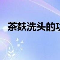 茶麸洗头的功效及作用（茶麸是什么东西）