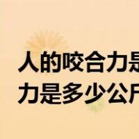 人的咬合力是多少相当于什么动物（人的咬合力是多少公斤）