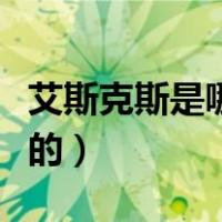 艾斯克斯是哪个国家的（艾斯克斯是哪个国家的）