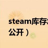 steam库存怎么公开csgo（steam库存怎么公开）