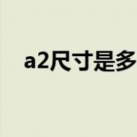 a2尺寸是多少厘米（a2尺寸是多少厘米）