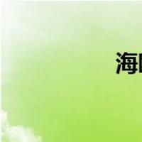 海鸥手表是哪里的品牌