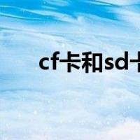 cf卡和sd卡区别（cf卡和sd卡的区别）