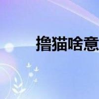 撸猫啥意思网络用语（撸猫啥意思）