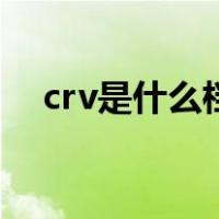 crv是什么档次的车（crv是什么意思啊）