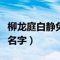 柳龙庭白静免费阅读（柳龙庭白静小说叫什么名字）