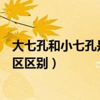大七孔和小七孔是同一景区吗（大七孔风景区和小七孔风景区区别）