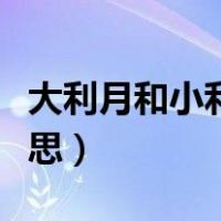 大利月和小利月是什么意思（大利月是什么意思）
