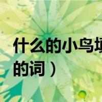 什么的小鸟填合适的词语（什么的小鸟填合适的词）