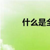 什么是全球变暖（什么是全挂车）