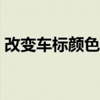 改变车标颜色行不行（改变车标颜色违法吗）