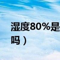 湿度80%是家里潮湿吗（湿度70是家里潮湿吗）