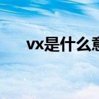 vx是什么意思的缩写（vx是什么意思）