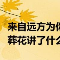 来自远方为你葬花讲的是什么（来自远方为你葬花讲了什么）