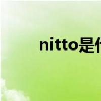 nitto是什么公司（NITTO是什么）