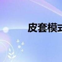 皮套模式怎么设置（皮套是什么）